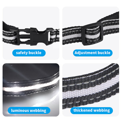 LumiCollar Chytrý LED obojek pro psy