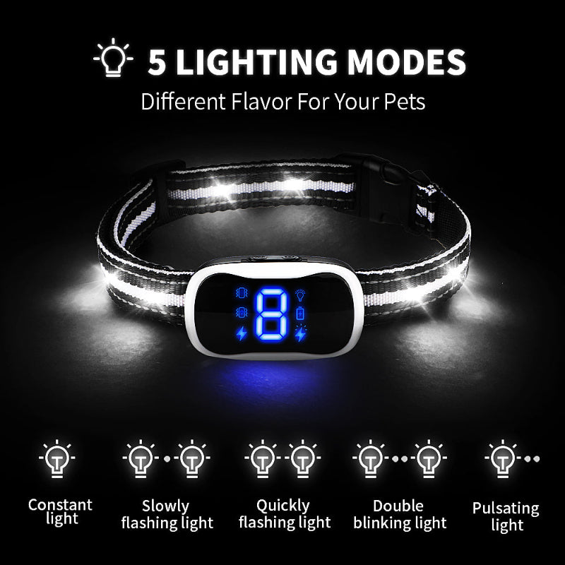 LumiCollar Chytrý LED obojek pro psy
