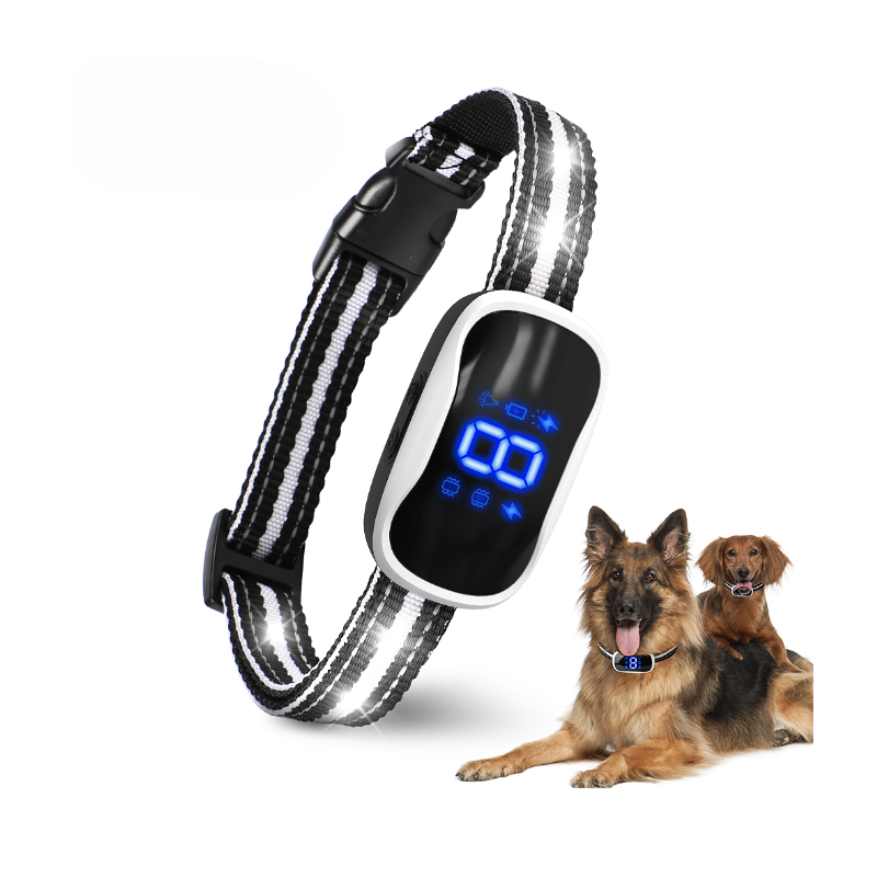 LumiCollar Chytrý LED obojek pro psy
